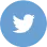 DNL Build TWITTER